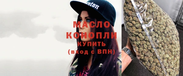 крисы Слюдянка