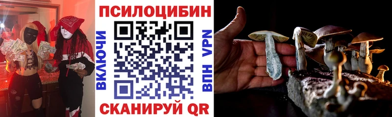 KRAKEN зеркало  цена   Губаха  Галлюциногенные грибы мухоморы 