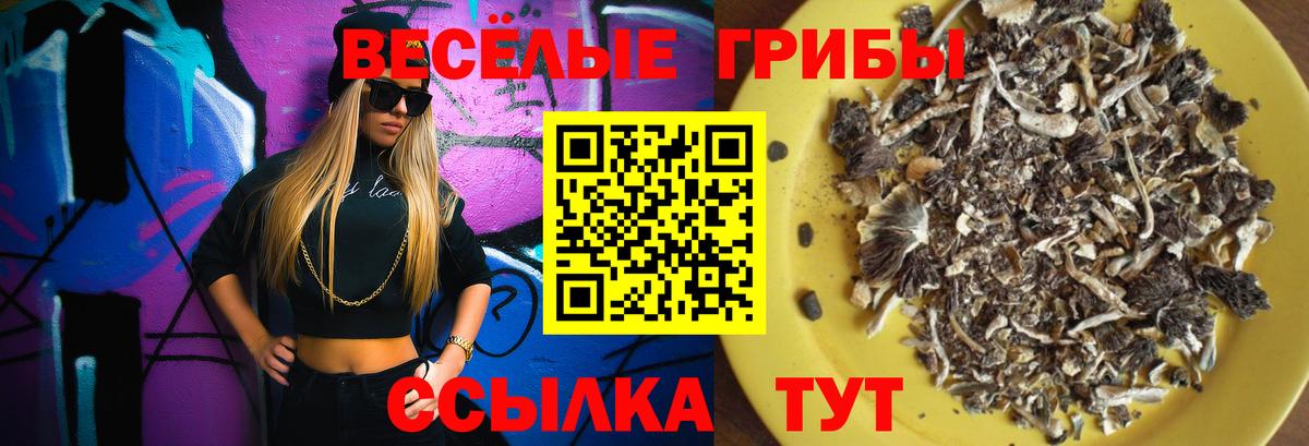 Галлюциногенные грибы Psilocybe Губаха