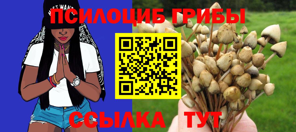 Губаха  Псилоцибиновые грибы Cubensis  Вход с VPN  Галлюциногенные грибы Cubensis 