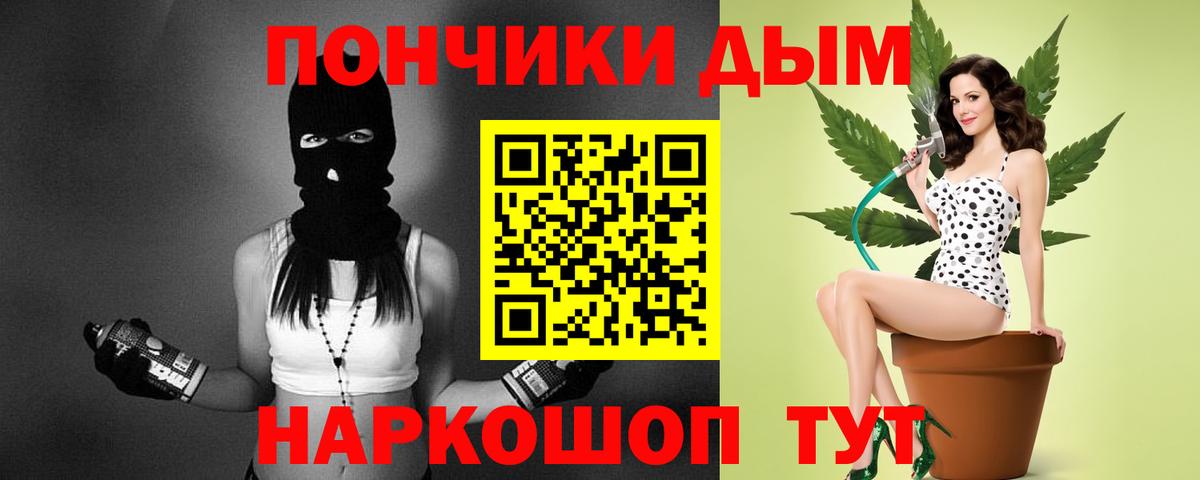 Бошки Шишки гибрид Губаха